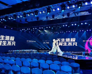 商業(yè)演出 (16)