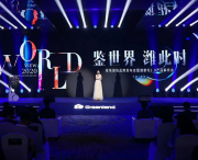 商業(yè)演出 (10)