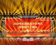 商業(yè)演出 (12)